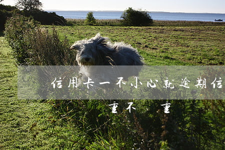 信用卡一不小心就逾期(信用卡逾期一個星期問題嚴重不嚴重)