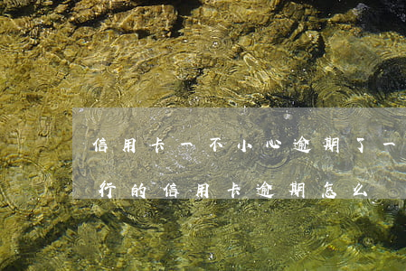 信用卡一不小心逾期了一次(一個(gè)銀行的信用卡逾期怎么辦)