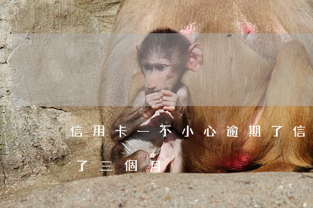 信用卡一不小心逾期了(信用卡一不小心逾期了三個月)