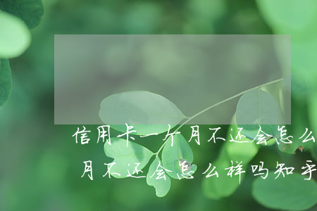 信用卡一个月不还会怎么样吗-信用卡一个月不还会怎么样吗知乎