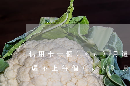 信用卡一個(gè)月還不上怎么辦(信用卡還不上每個(gè)月還一百可以不)