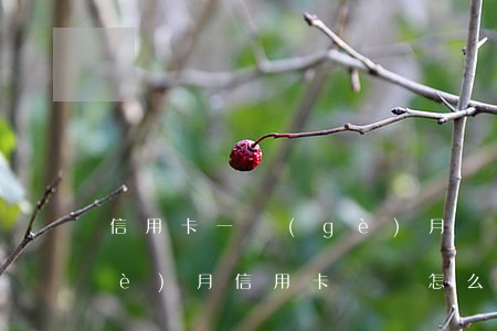 信用卡一個(gè)月還不起錢-一個(gè)月信用卡沒還怎么辦