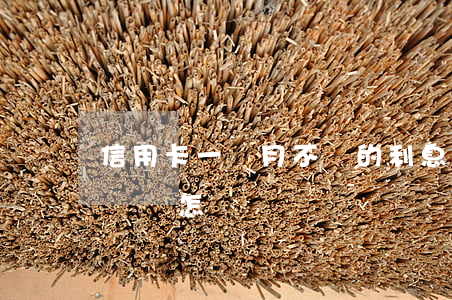 信用卡一個月不還的利息(信用卡一個月不還錢會怎樣)