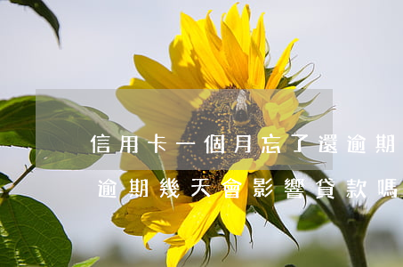 信用卡一個月忘了還逾期了-忘記還信用卡逾期幾天會影響貸款嗎