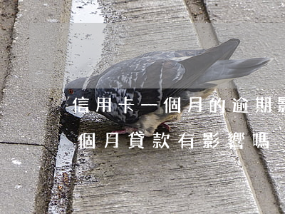 信用卡一個月的逾期影響貸款 信用卡逾期一個月貸款有影響嗎