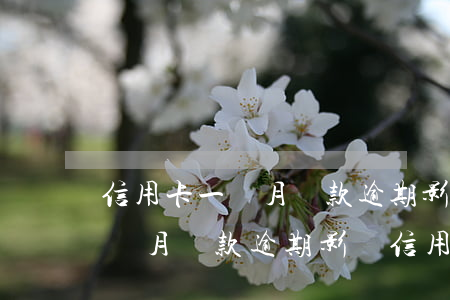 信用卡一個月還款逾期影響信用-信用卡一個月還款逾期影響信用貸款嗎