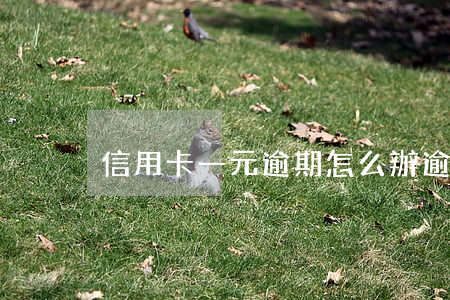 信用卡一元逾期怎么辦(逾期1元是什么原因)