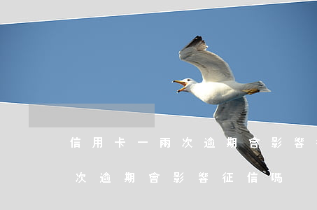信用卡一兩次逾期會影響征信嗎(信用卡一兩次逾期會影響征信嗎)