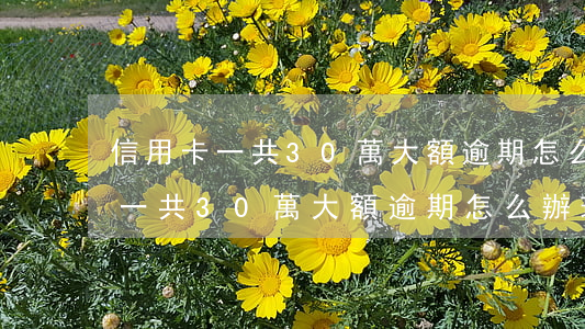 信用卡一共30萬大額逾期怎么辦-信用卡一共30萬大額逾期怎么辦理
