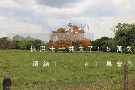 信用卡一共欠了15萬(欠信用卡有十五萬不還結(jié)果會怎么樣)