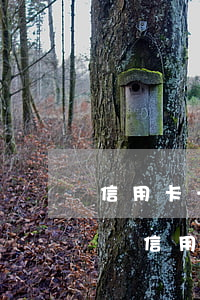 信用卡一分不還多久坐牢(欠一萬(wàn)塊信用卡會(huì)坐牢多久)