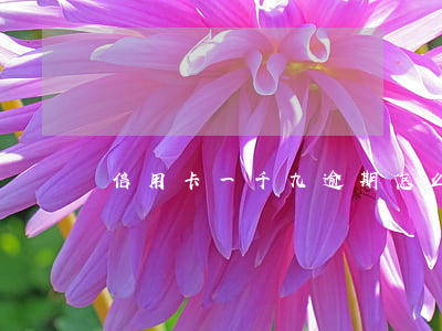 信用卡一千九逾期怎么辦