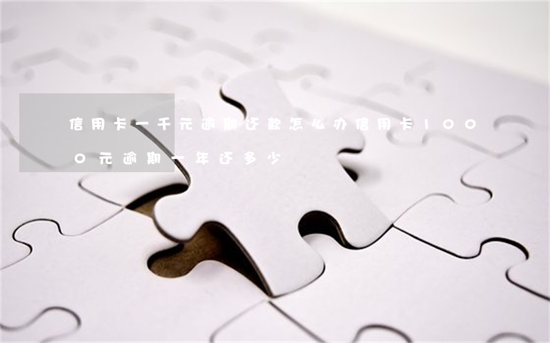 信用卡一千元逾期还款怎么办(信用卡1000元逾期一年还多少)