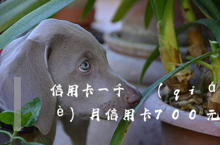 信用卡一千塊錢(qián)逾期一個(gè)月(信用卡700元逾期一個(gè)月)