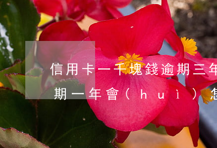 信用卡一千塊錢逾期三年(信用卡三千塊錢逾期一年會(huì)怎么樣)