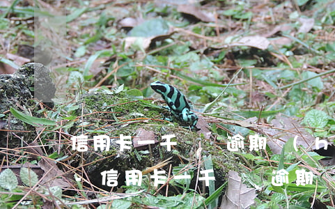 信用卡一千塊錢逾期會(huì)找律師嘛-信用卡一千塊錢逾期會(huì)找律師嘛知乎