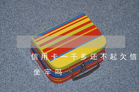 信用卡一千多还不起(欠信用卡1000多会坐牢吗)