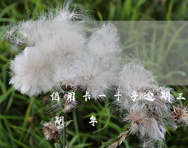 信用卡一千多逾期三年(3000的信用卡逾期兩年)