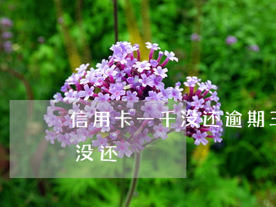 信用卡一千没还逾期三年(信用卡逾期两三年没还)