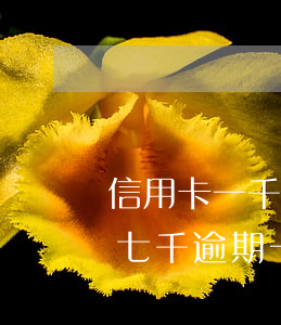 信用卡一千逾期7年該還多少錢-欠信用卡七千逾期一年