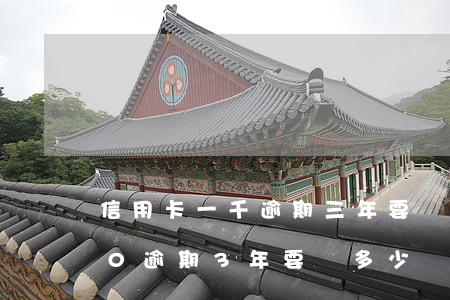 信用卡一千逾期三年要還多少(信用卡2000逾期3年要還多少)
