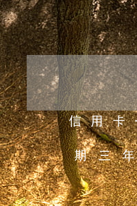 信用卡一千逾期三年還多少年 信用卡一千逾期三年還多少年最劃算