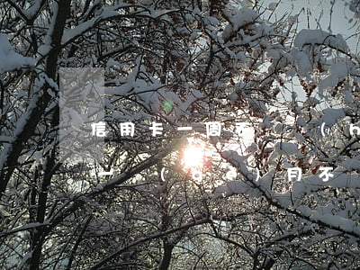 信用卡一周不還會(huì)怎么樣(信用卡一個(gè)月不還會(huì)有什么后果)