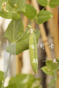 信用卡一周沒還會(huì)逾期(信用卡逾期一天沒關(guān)系吧)