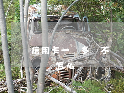 信用卡一塊多錢不還會怎樣(信用卡1萬多不還會怎么樣)