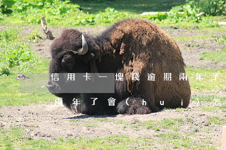 信用卡一塊錢逾期兩年了(信用卡一塊錢逾期兩年了會(huì)怎么樣)