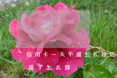 信用卡一天不還怎么算(信用卡超過一天沒有還了怎么算)