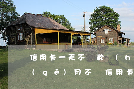 信用卡一天不還款會(huì)怎么樣(一個(gè)月不還信用卡會(huì)怎么樣)