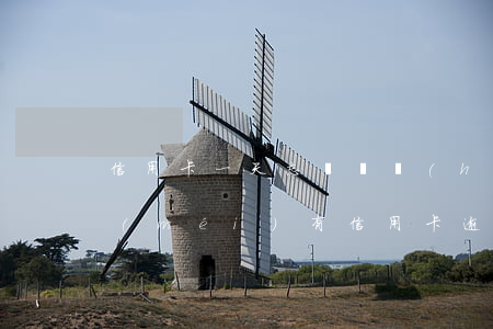 信用卡一天忘記還會(huì)逾期嗎(有沒(méi)有信用卡逾期一年的)
