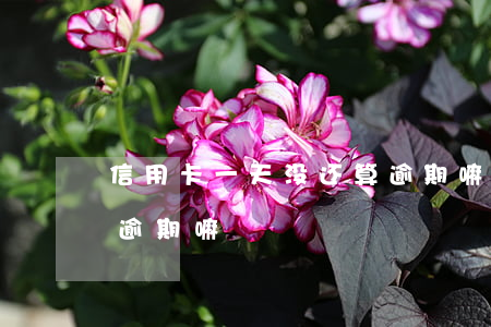 信用卡一天没还算逾期嘛(信用卡一天没还算逾期嘛)