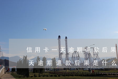 信用卡一天逾期還款后果是什么-信用卡一天逾期還款后果是什么呢