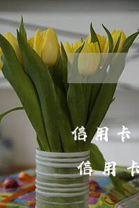 信用卡一天逾期還款后果是什么(推遲一天還信用卡算逾期嗎?)