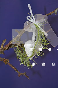 信用卡一年一万逾期利息多少 一万多信用卡逾期利息是多少