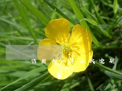 信用卡一年三次逾期會怎樣