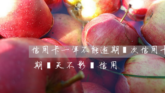 信用卡一年不能逾期幾次(信用卡最多可以逾期幾天不影響信用)