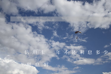 信用卡一年不还利息多少钱(信用卡每月要还利息吗)