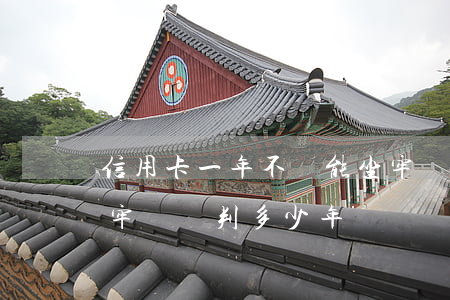 信用卡一年不還能坐牢嗎(信用卡還不上會坐牢嗎會判多少年)