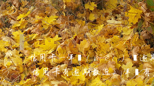 信用卡一年內(nèi)沒逾期房貸(2年前信用卡有逾期,最近2年沒有,房貸)