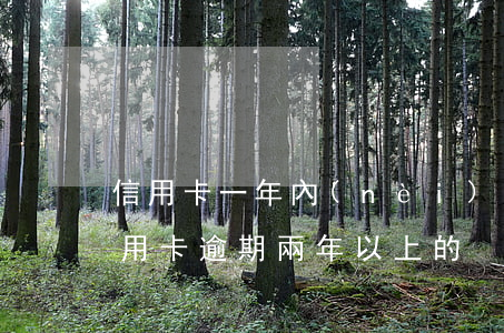 信用卡一年內(nèi)逾期二次 有沒有信用卡逾期兩年以上的
