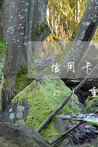 信用卡一年內(nèi)逾期兩次嚴(yán)重嗎(一年內(nèi)信用卡逾期兩次影響征信嗎)