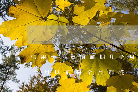 信用卡一年前逾期几个月(我信用卡逾期了几个月以前每个月都还一点)