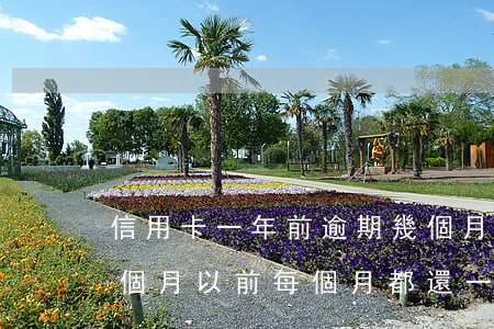 信用卡一年前逾期幾個月(我信用卡逾期了幾個月以前每個月都還一點)