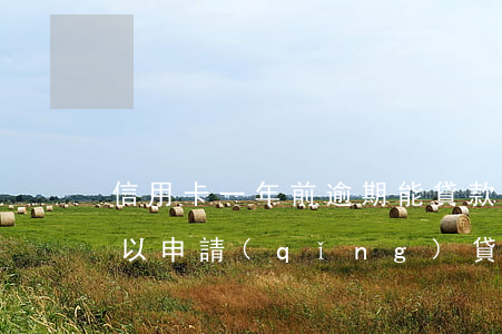 信用卡一年前逾期能貸款嗎(一年前的逾期可以申請(qǐng)貸款嗎)