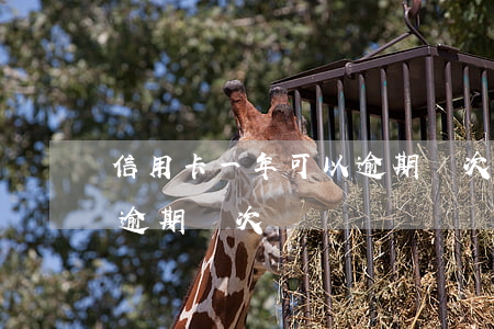 信用卡一年可以逾期幾次-信用卡一年可以逾期幾次