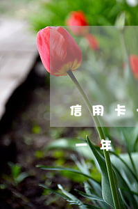 信用卡一年沒(méi)還的后果-信用卡一年沒(méi)還的后果會(huì)坐牢嗎