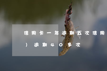 信用卡一年逾期五次(信用卡5年內(nèi)逾期40多次)